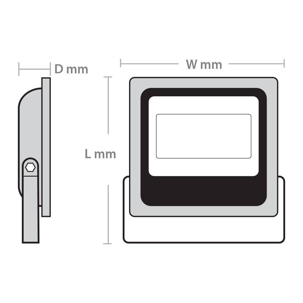 FLSMD Site Floodlight 50W 110V