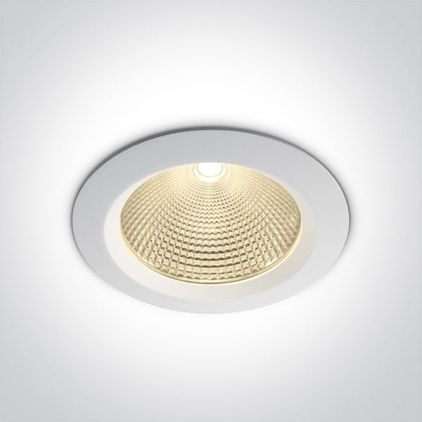 One Light 10130CA/W/W WHITE LED 30W WW IP20 60deg 230V