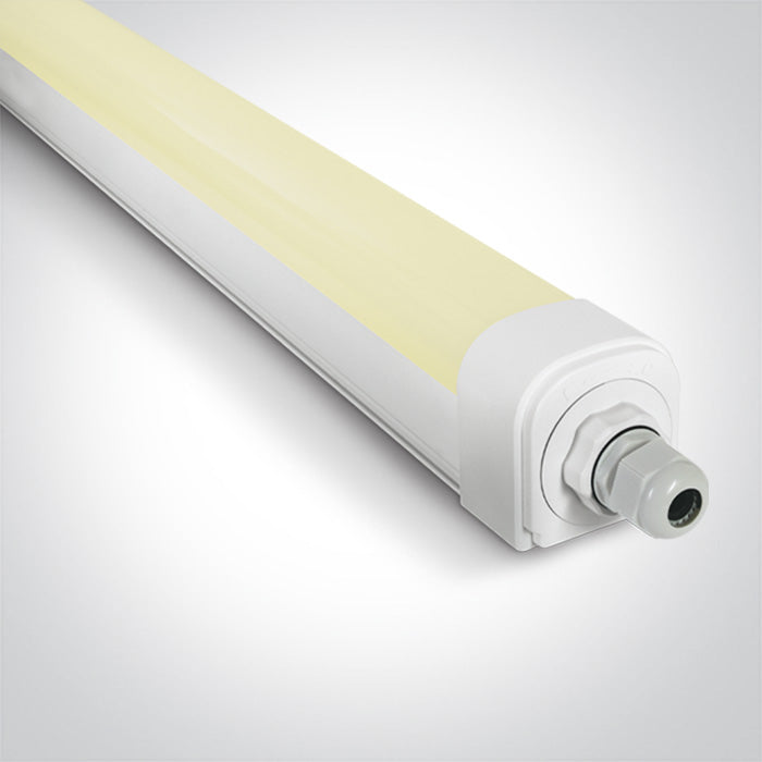 One Light 38130LB/V 30W CCTV 1210mm IP66 230V