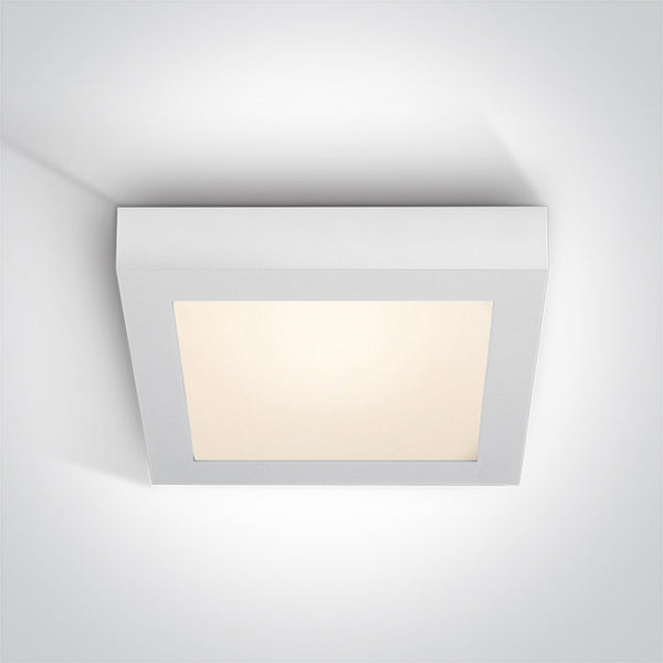 One Light 62130AF/W/W WHITE PLAFO LED 30w WW IP40 100-240v