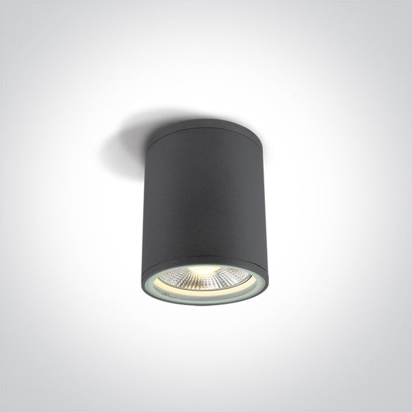 One Light 67132C/AN ANTHRACITE CYLINDER PAR30 E27 IP54