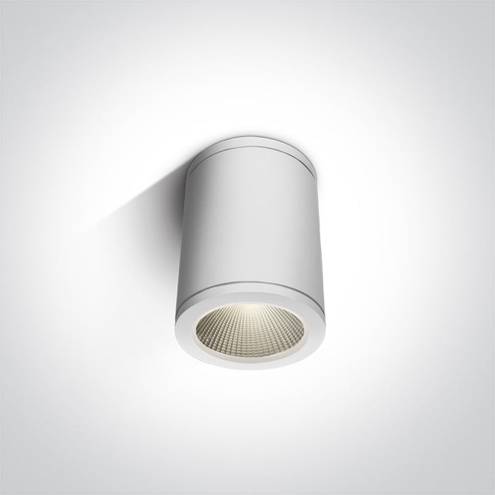 One Light 67138C/W/W WHITE COB LED 6W WW IP54 100-240V