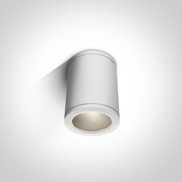 One Light 67138C/W/W WHITE COB LED 6W WW IP54 100-240V