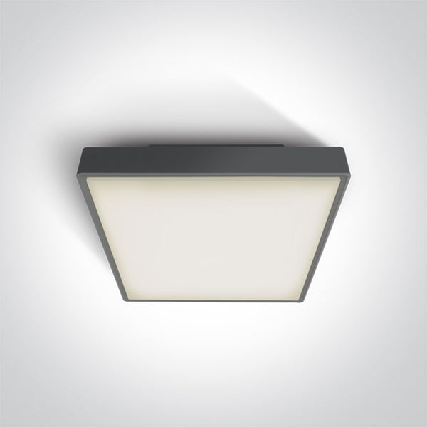 One Light 67282AN/AN/W ANTHRACITE LED PLAFO 24w WW IP65 230v