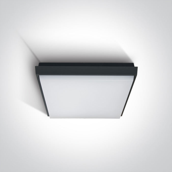 One Light 67362A/AN/W ANTHRACITE PLAFO LED 25W WW IP54 230V