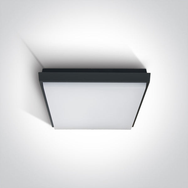 One Light 67362A/AN/W ANTHRACITE PLAFO LED 25W WW IP54 230V