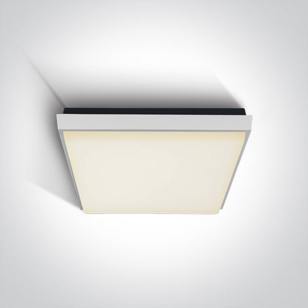 One Light 67363A/W/W WHITE PLAFO LED 30W WW IP54 100-240V