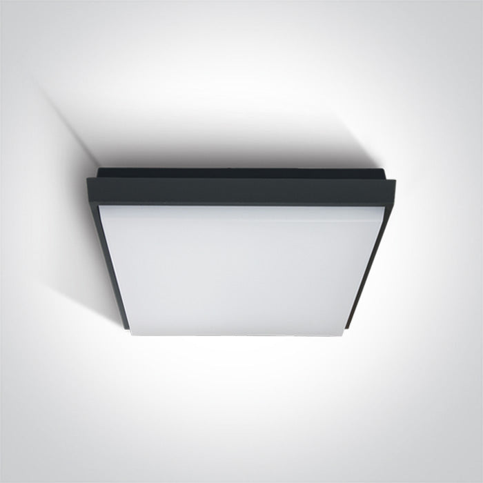 One Light 67363A/AN/W ANTHRACITE PLAFO LED 30W WW IP54 100-240V