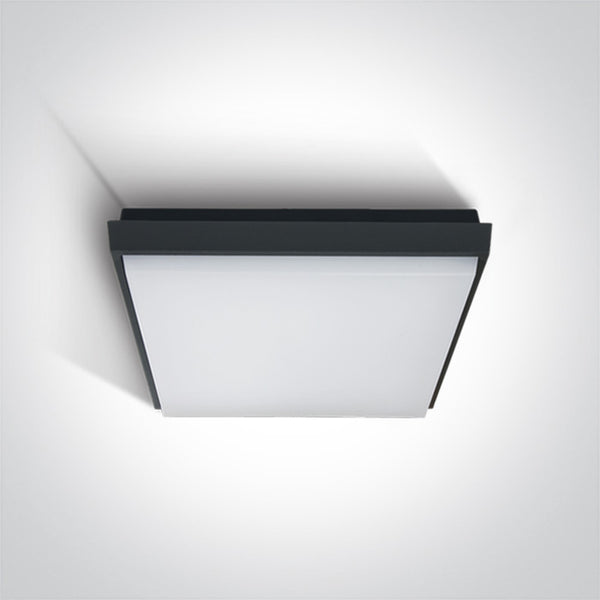 One Light 67363A/AN/W ANTHRACITE PLAFO LED 30W WW IP54 100-240V