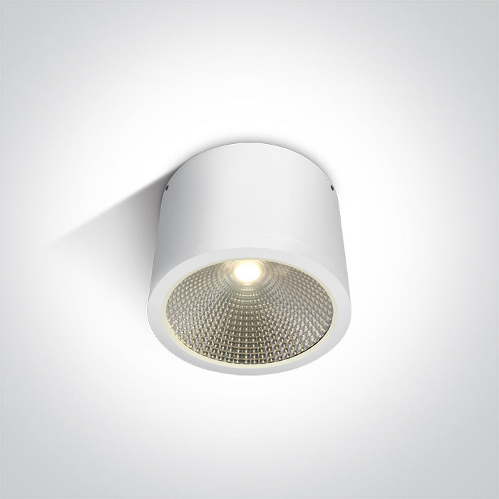 One Light 67380A/W/W WHITE COB LED 25W WW IP54 60d 100-240V