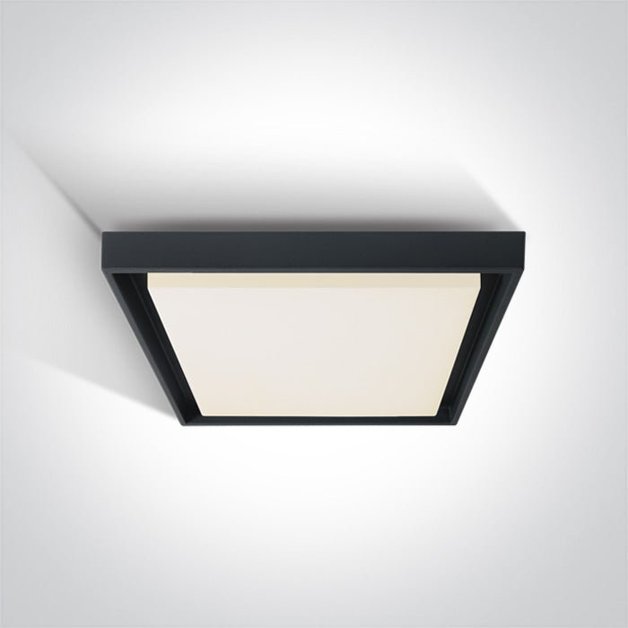 One Light 67384A/AN/W ANTHRACITE PLAFO LED 30W WW IP54 100-240V