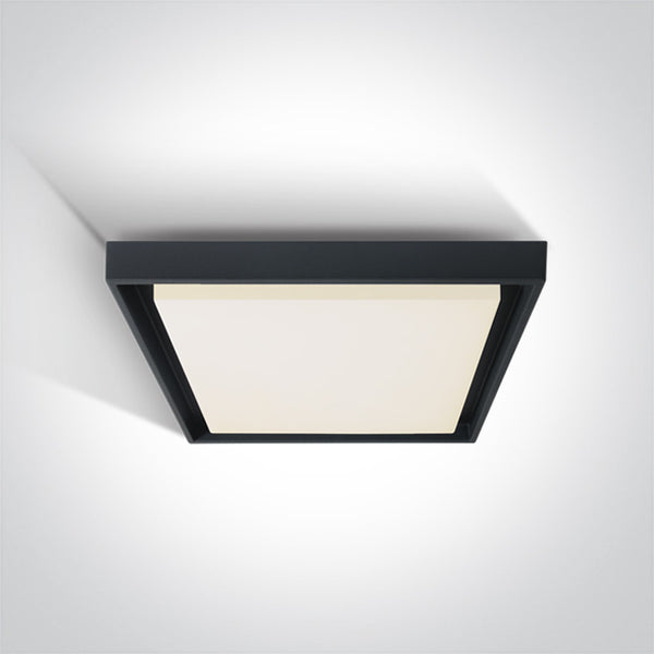 One Light 67384A/AN/W ANTHRACITE PLAFO LED 30W WW IP54 100-240V