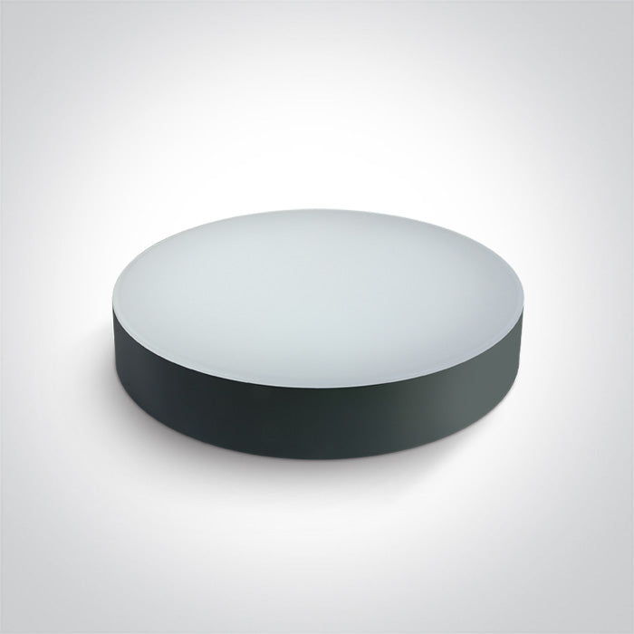 One Light 67498/AN/V ANTHRACITE PLAFO 20W CCTV IP65 230V