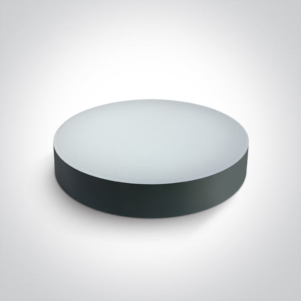 One Light 67498/AN/V ANTHRACITE PLAFO 20W CCTV IP65 230V