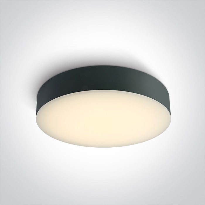 One Light 67498/AN/V ANTHRACITE PLAFO 20W CCTV IP65 230V