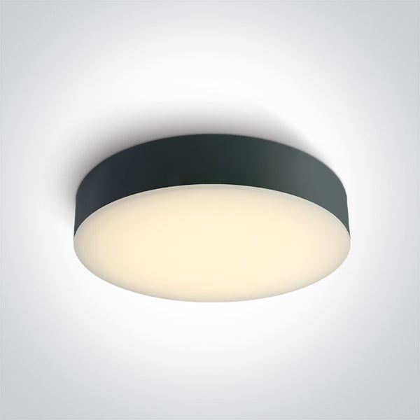 One Light 67498/AN/V ANTHRACITE PLAFO 20W CCTV IP65 230V