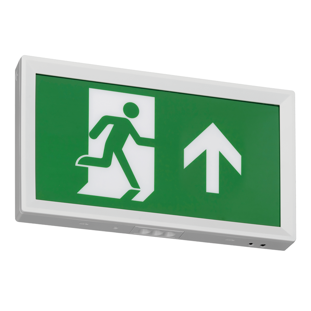 Red Arrow ART/30/ST/V2 Artemis M/NM EM Exit box 3Hr 30m Selectable Self/Manual Test c/w Up Legend