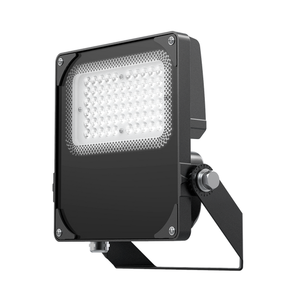 Red Arrow CA50-T3-40 Castor Asymmetric Floodlight 50W 4000K c/w type III Optic