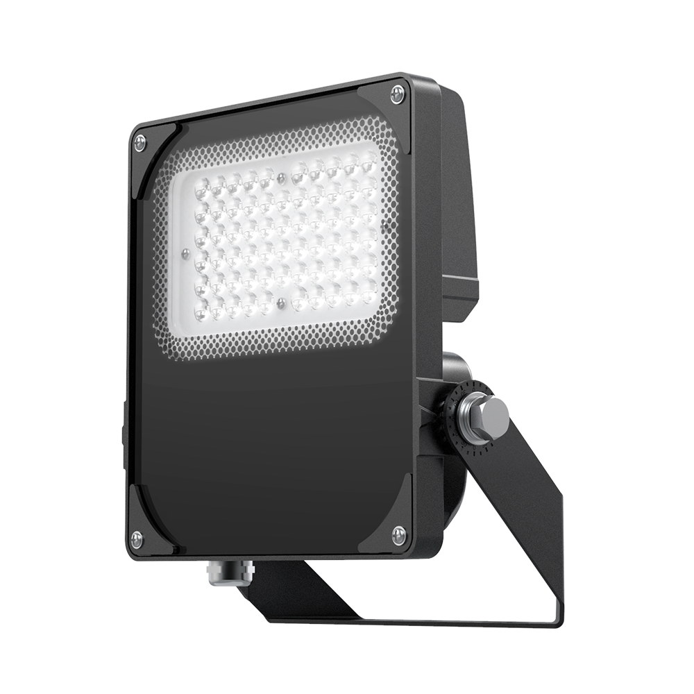 Castor Asymmetric Floodlight 50W 4000K c/w type III Optic