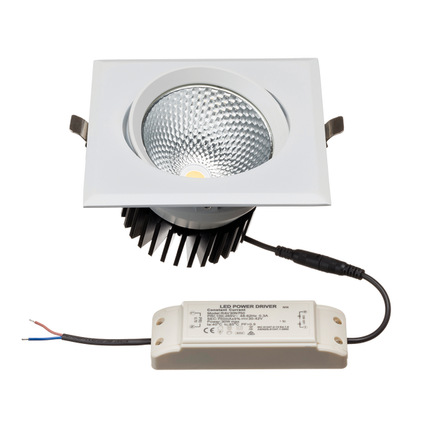 DLSRA Square Adjustable Downlight