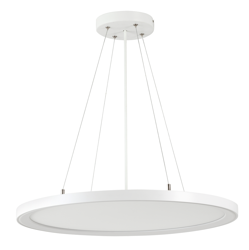 Discus Pro Smart