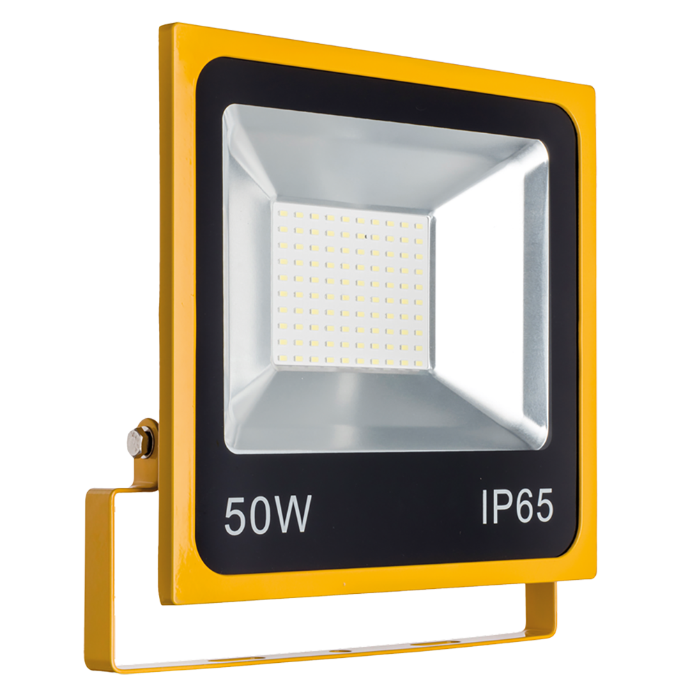 FLSMD Site Floodlight 50W 110V