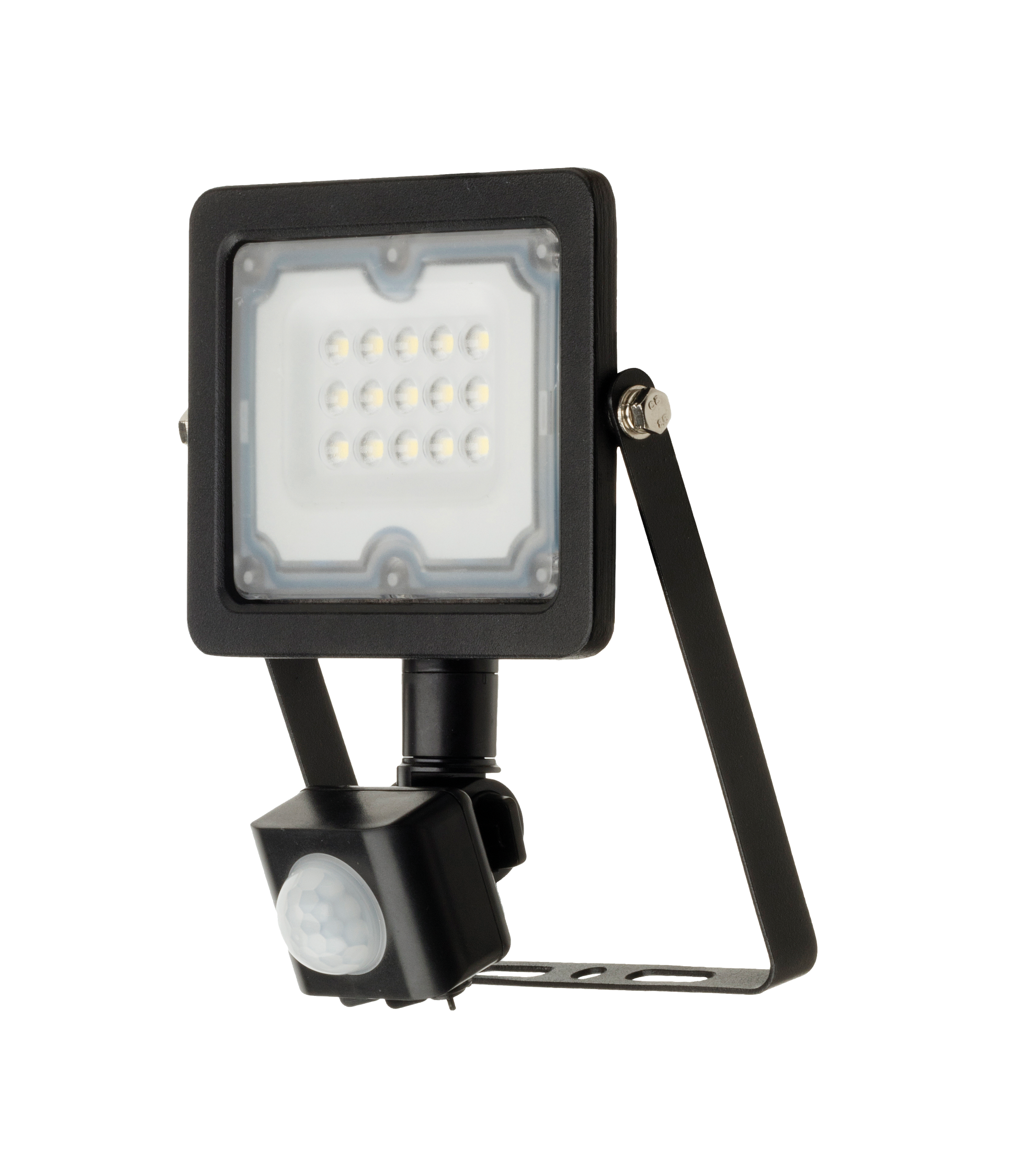 10W Meteor Floodlight with PIR