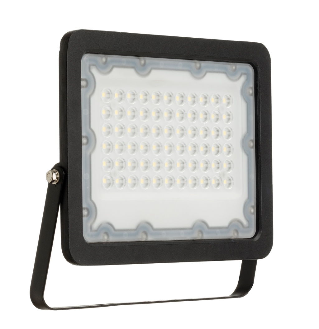 50W Meteor Floodlight