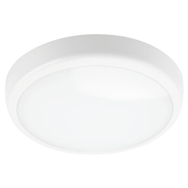 Red Arrow POLX15EVO-CCT Polo X EVO Bulkhead White 9-15W 3CCT 3/4/6K