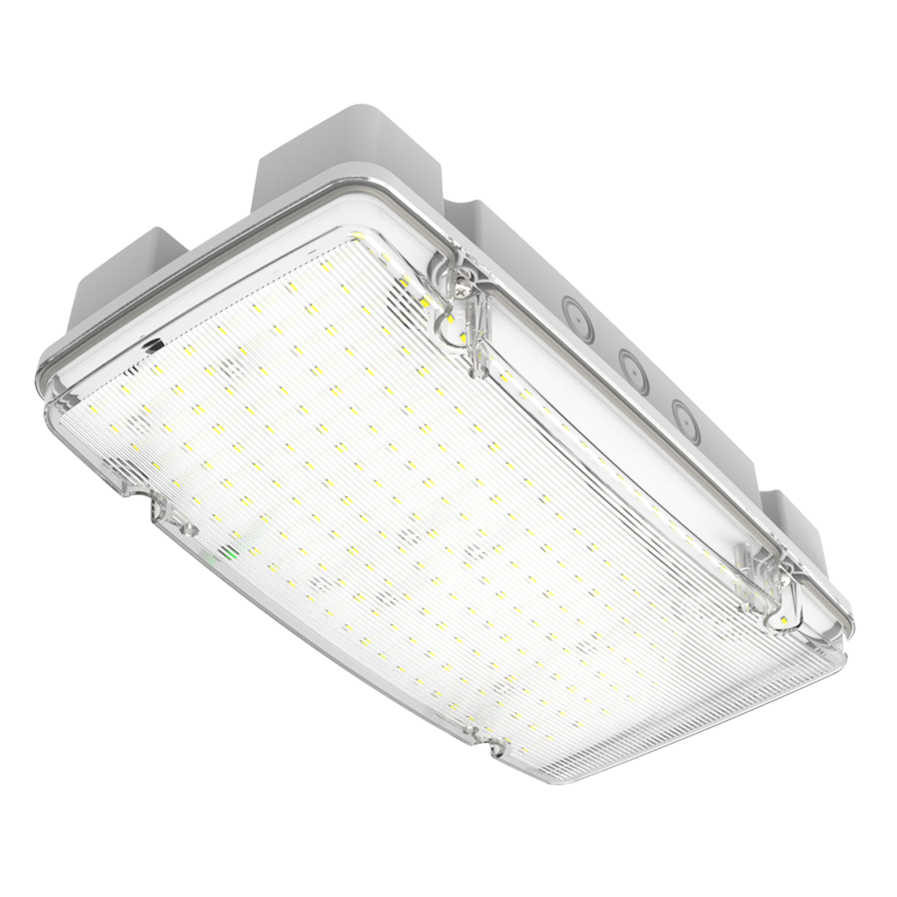 Vanguard Maxi NM Bulkhead 1500lm 3Hr IP65