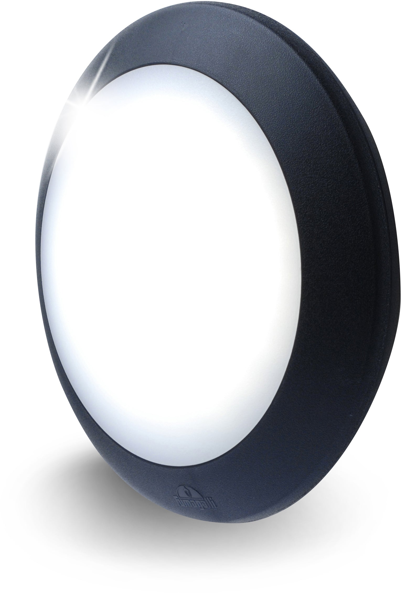 Fumagalli Asbac Berta 11W 3K LED Bulkhead Bk 1B2.000.AY.B1R