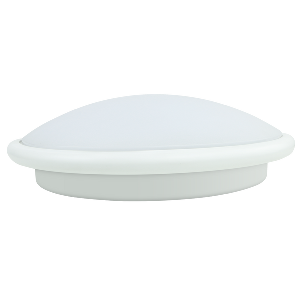 Red Arrow MWL18-CCT Slim Bulkhead White/Opal 8-19W 3CCT 3/4/6K