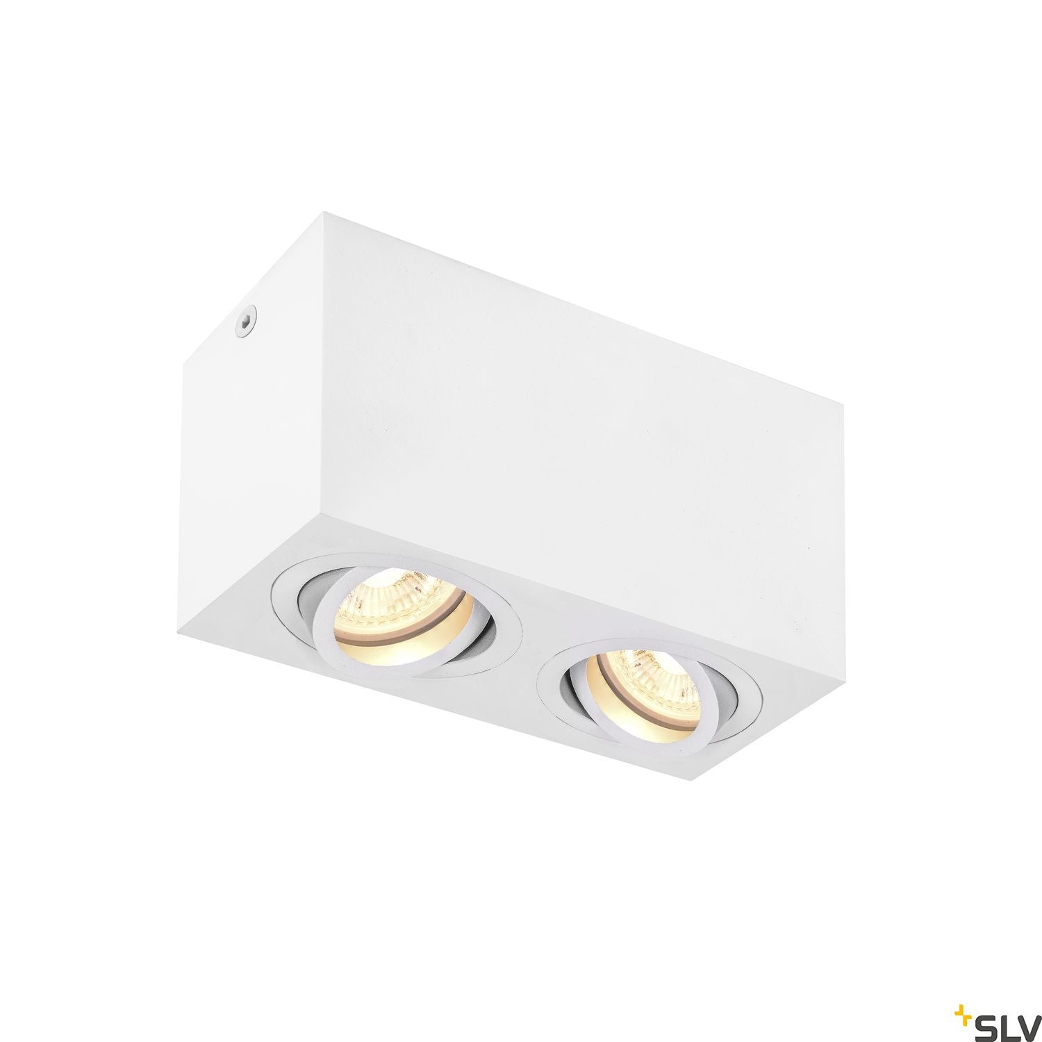 SLV TRILEDO Double, indoor surface-mounted ceiling light, QPAR51, white, max 10W 1002006