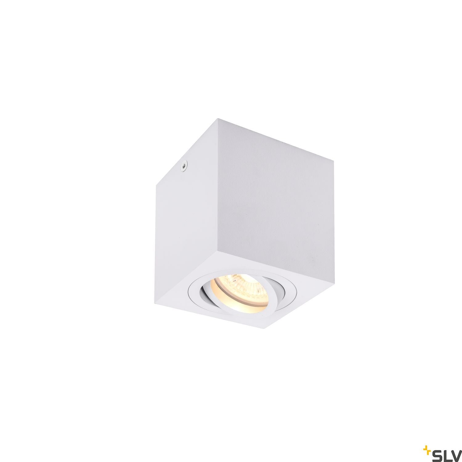 SLV TRILEDO Single, indoor surface-mounted ceiling light, QPAR51, white, max 10W 1002015