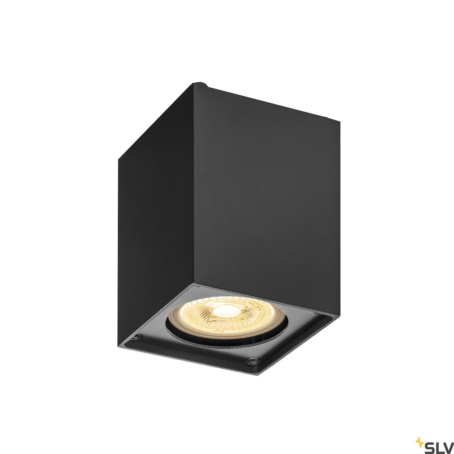 SLV ALTRA DICE CL, Indoor surface-mounted wall and ceiling light, QPAR51, black 1002216