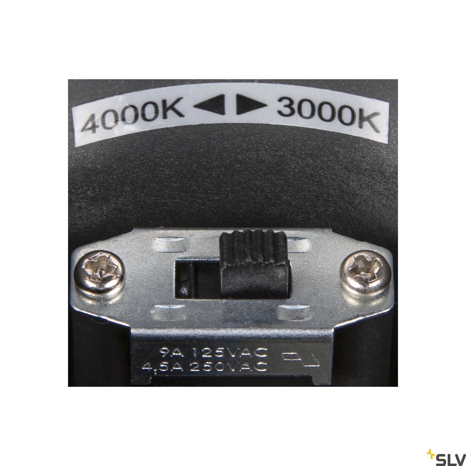 SLV OVALISK WL Outdoor LED ceiling-mounted light anthracite CCT switch 3000/4000K 1004678