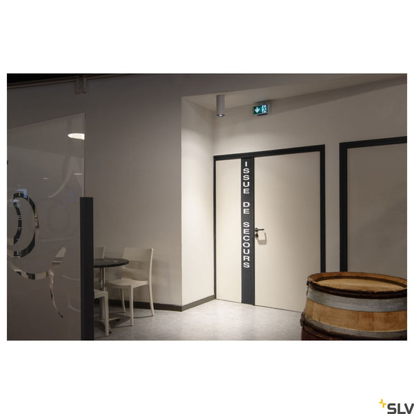 SLV NUMINOS® DALI XL, white / black ceiling mounted light, 36W 3000K 36° 1005769
