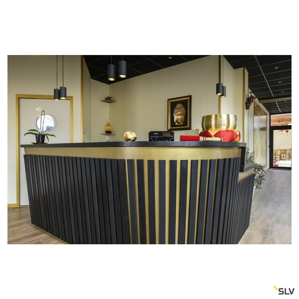 SLV ASTO TUBE, pendant light, GU10, pendant length 250 cm, max. 2x10W, black 1006433
