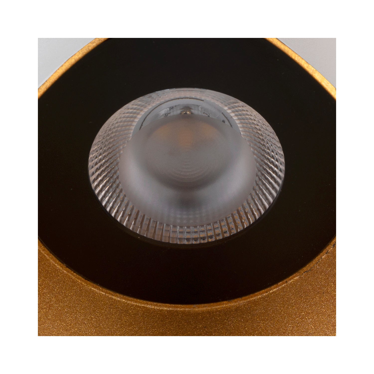 SLV MODELA, wall light, up/down, 2700 K, PHASE, white/gold 1007806