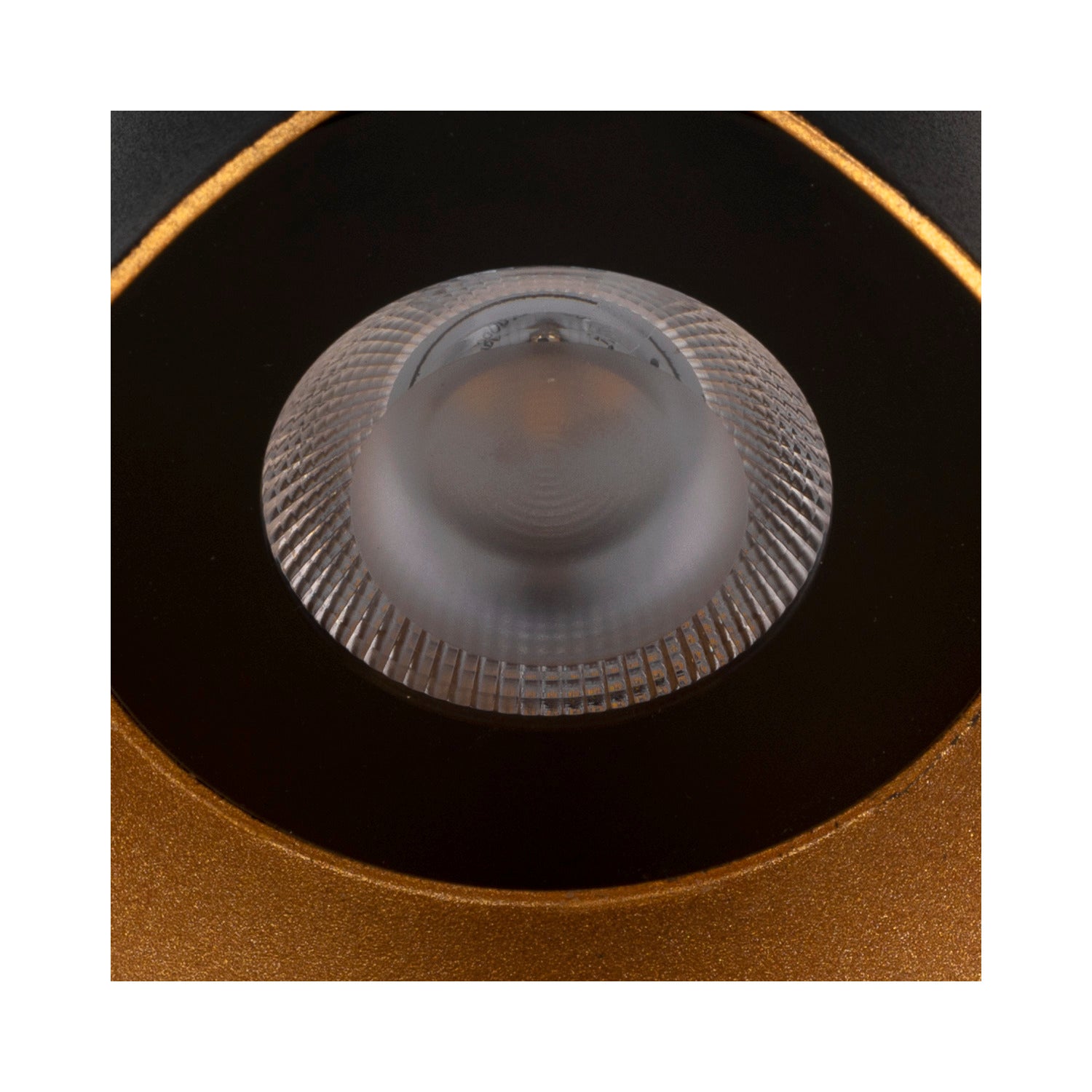 SLV MODELA, wall light, up/down, 2700 K, PHASE, black/gold 1007807