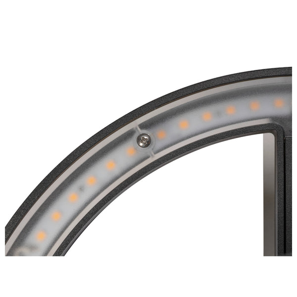 SLV Q-RING, wall light, 3000 K, PHASE, IP65, black 1007918