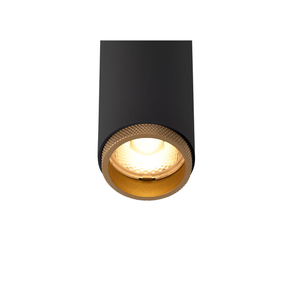 SLV GRIP! S, 48V spot, cylindrical, 2700 K, 9.8 W, DALI, 29°, black / gold 1008407