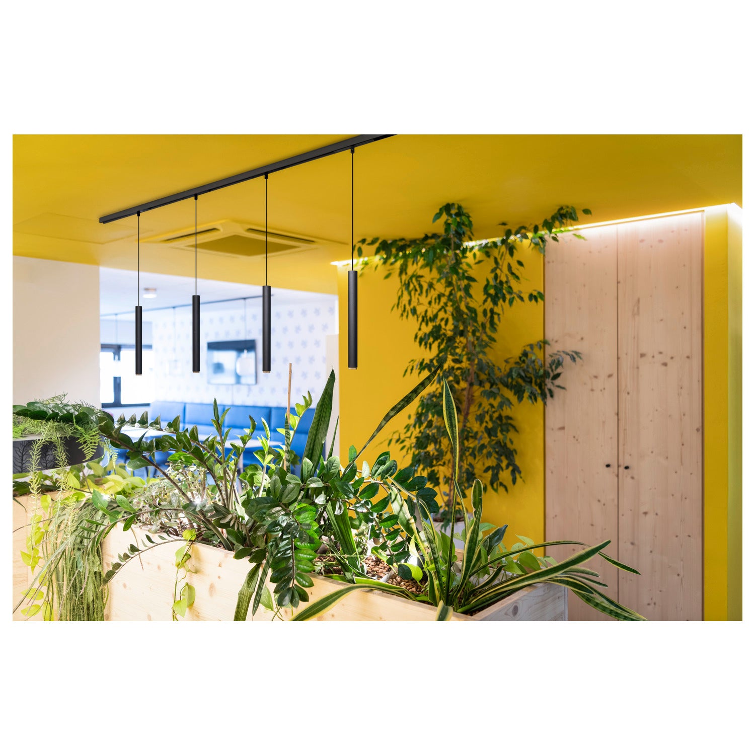 SLV GRIP! S, 48V pendant light, pendant length 200 cm, 2700 K, 29°, DALI, black / gold 1008456