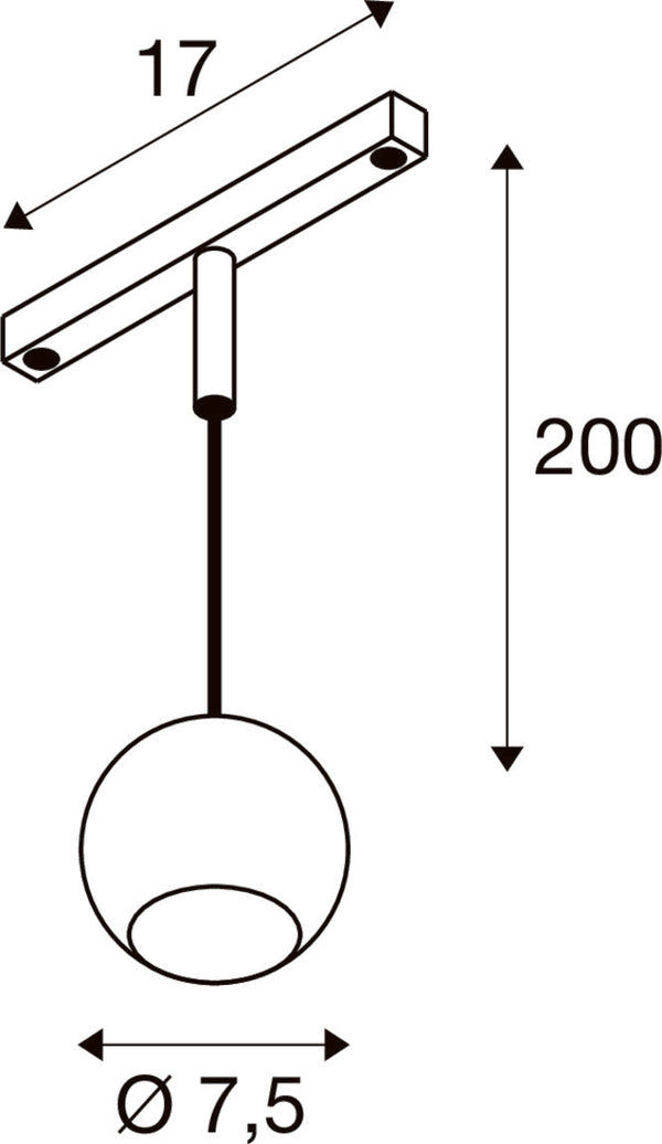 SLV LIGHT EYE® 2.0, 48V pendant light, DALI, pendant length 200 cm, 2700K, 30°, black 1010460