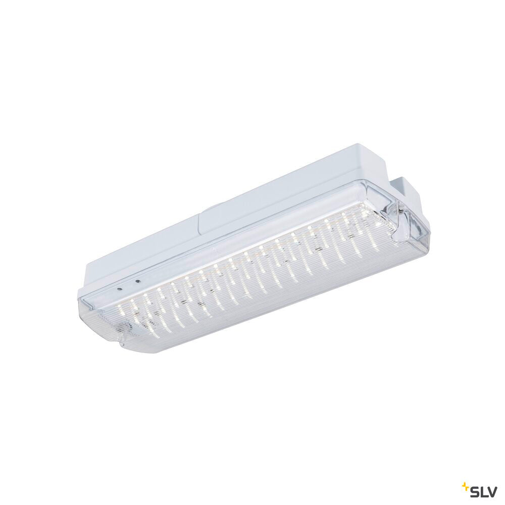 SLV P-LIGHT, wall and ceiling-mounted light, rectangular, 6000K, 5.2W, white / transparent 1010505