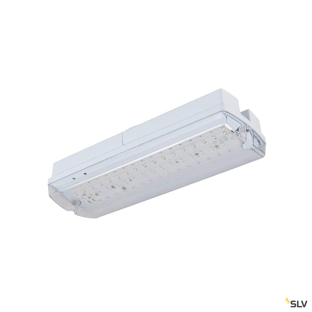 SLV P-LIGHT, wall and ceiling-mounted light, rectangular, 6000K, 5.2W, white / transparent 1010505