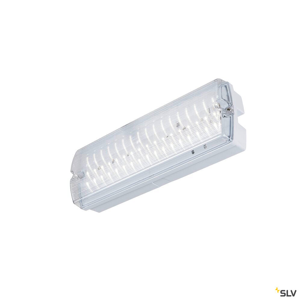 SLV P-LIGHT, wall and ceiling-mounted light, rectangular, 6000K, 5.2W, white / transparent 1010505