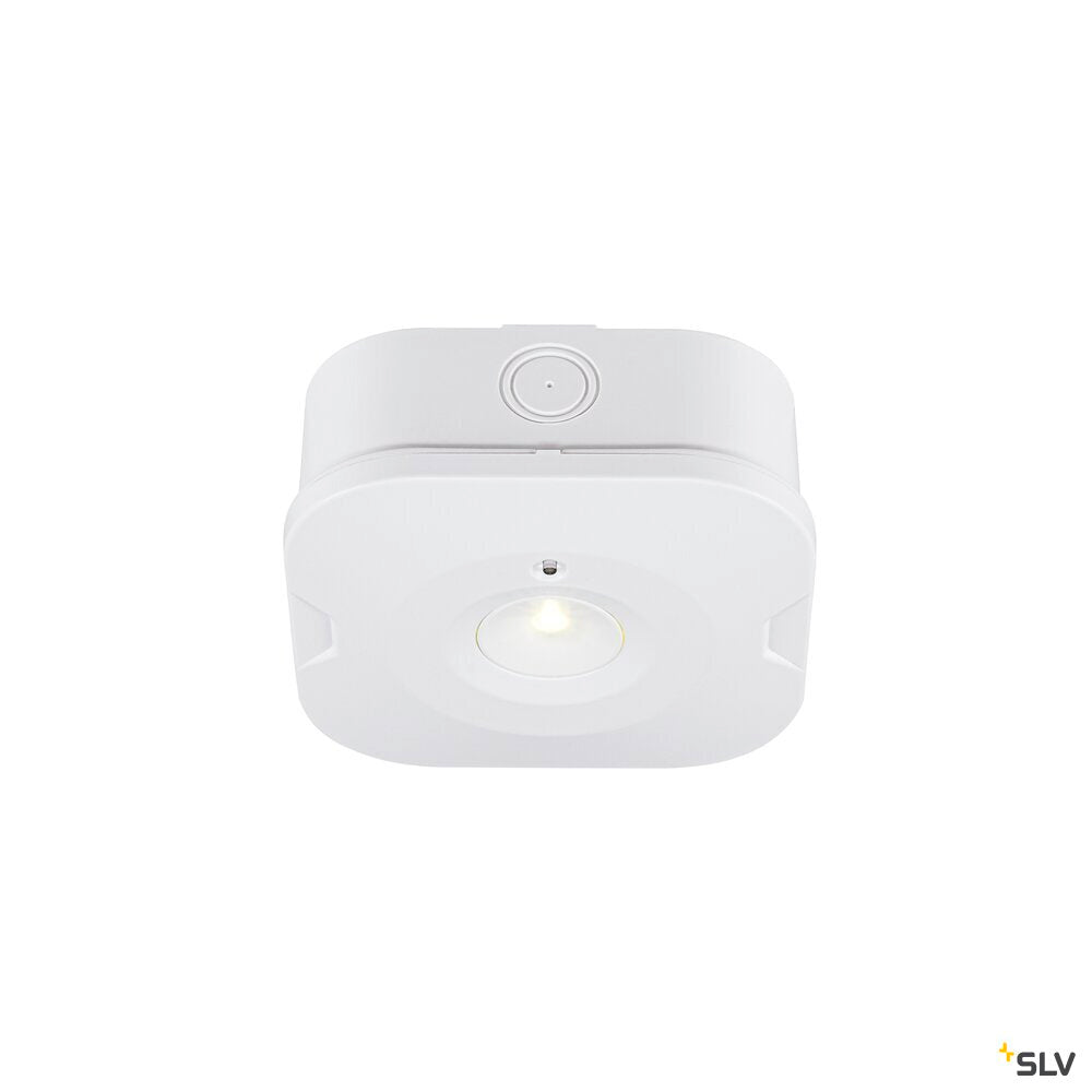 SLV P-LIGHT, Ceiling-mounted light, square, 6000K, 1.2W, white 1010508