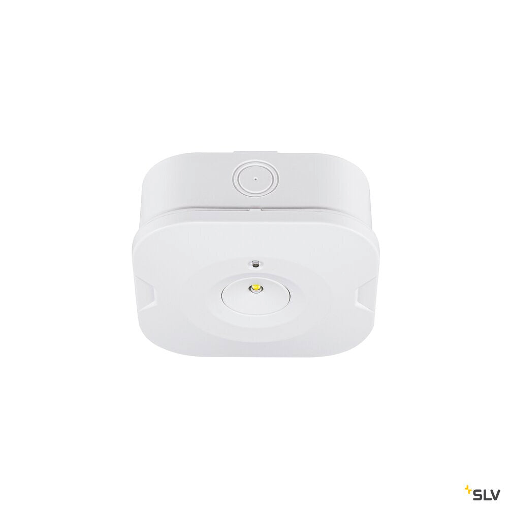 SLV P-LIGHT, Ceiling-mounted light, square, 6000K, 1.2W, white 1010508