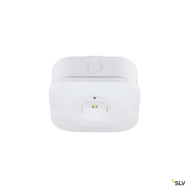 SLV P-LIGHT, Ceiling-mounted light, square, 6000K, 1.2W, white 1010508